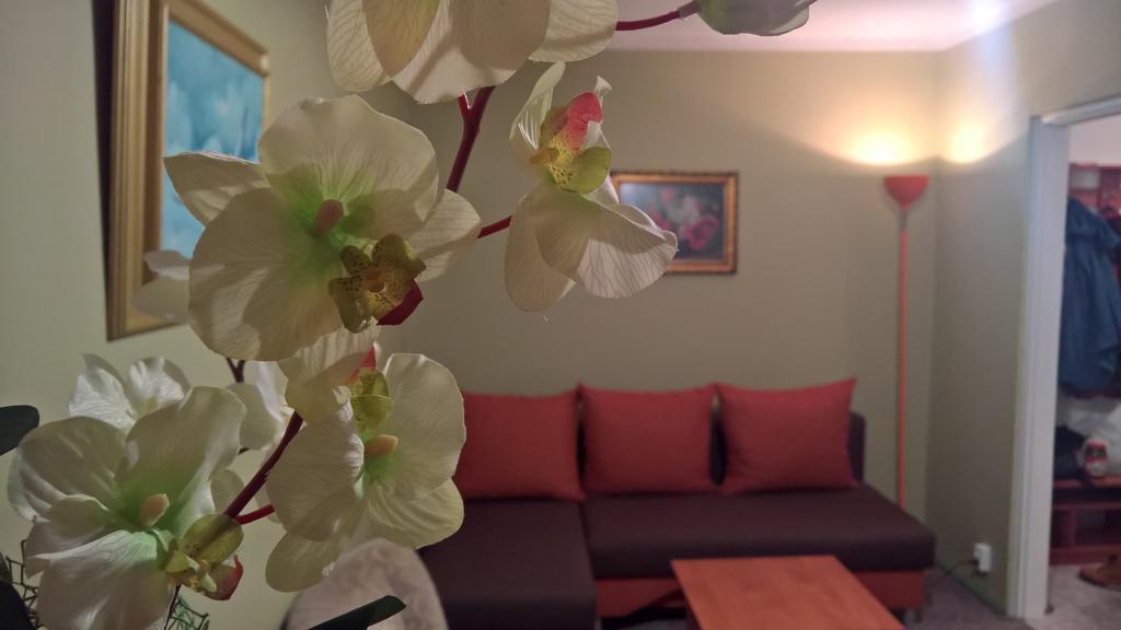 Apartament Konopnicka Augustów Exteriör bild
